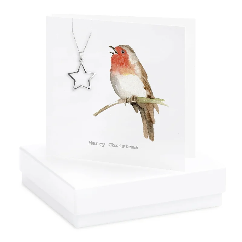 gold bar necklaces for women -Gift Set Sterling Silver Star Pendant Necklace with Gift Box and Robin Christmas Card